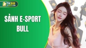 sảnh e-sport bull